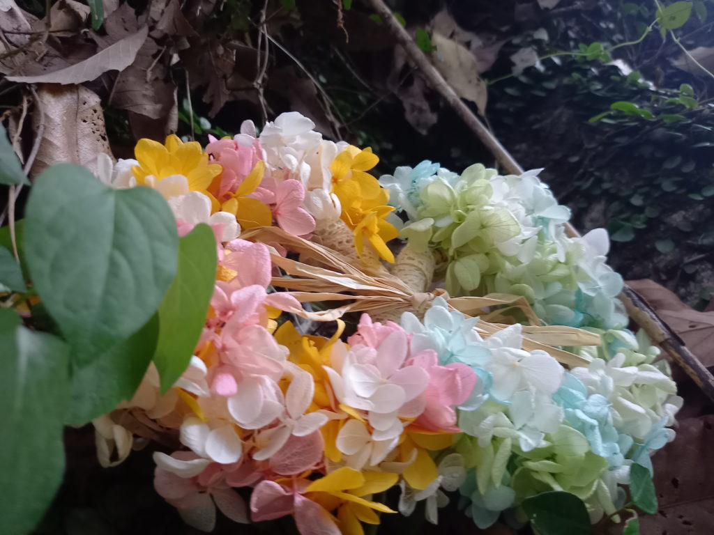 Twin Lei ∞ circle (統合の環)～88ゲート火&水～自然と溶け込む